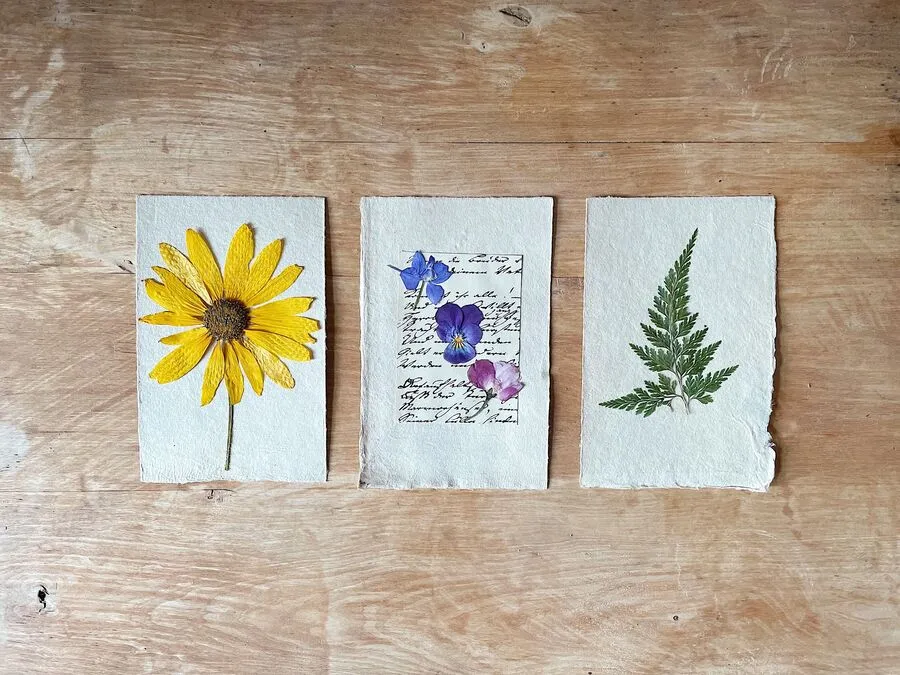 Flores prensadas sobre papel como manualidad creativa