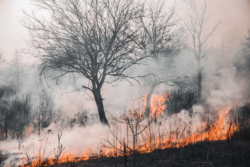 Incendio forestal con humo denso sobre el paisaje quemado
